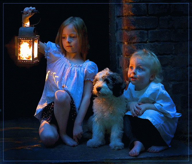 enfants, chien, lanterne