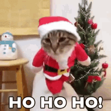 Joyeux Noel Merry Christmas Ho Ho Ho Chat Cat Image Animated Gif