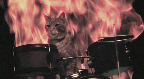 Chat Batterie Flammes Rock Image Animated Gif