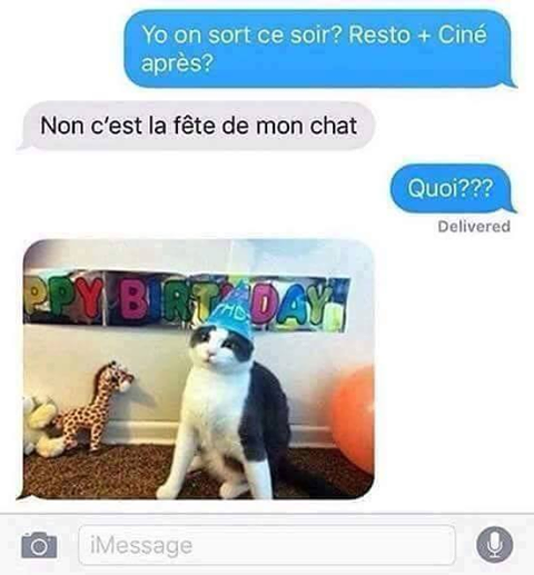 Chat Anniversaire Image Animated Gif