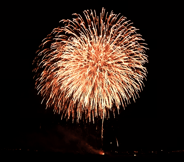 Feu D Artifice Firework Fireworks Image Animated Gif