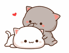 Love Amour Cute Mignon Coeurs Hearts Chats Cats Hug Calin Image Animated Gif