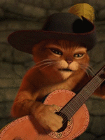 Chatons Chat Potte Shrek Image Animated Gif